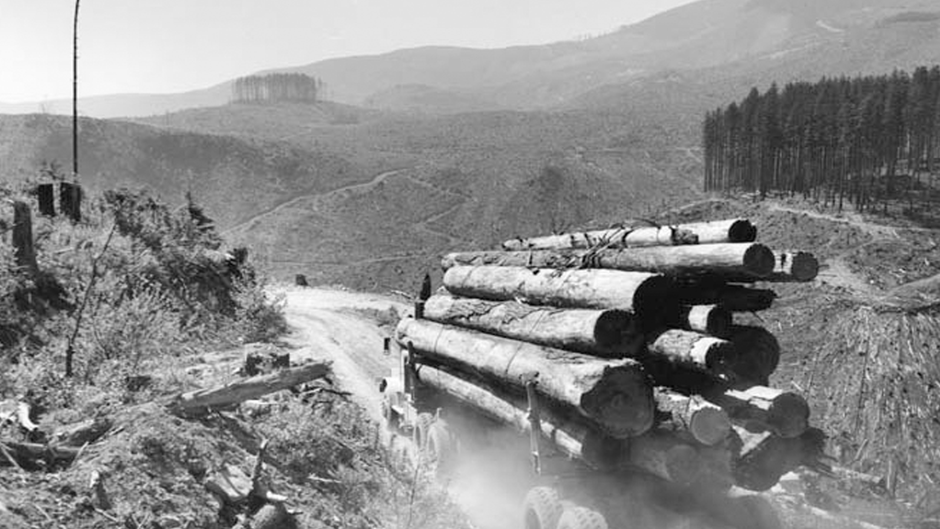 Logging truck with forest clear cut background